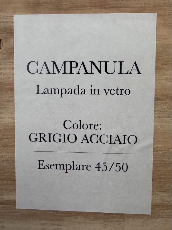 2 x Campanula Sospensione Grigio Acciaio Limited Edition 2025 di Andrea Branzi, Radical Design (non aperta (photo 2 of 8)
