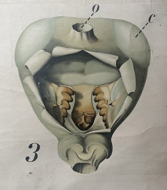 Image 1 of Carte scolaire vintage en lin XL - le homard