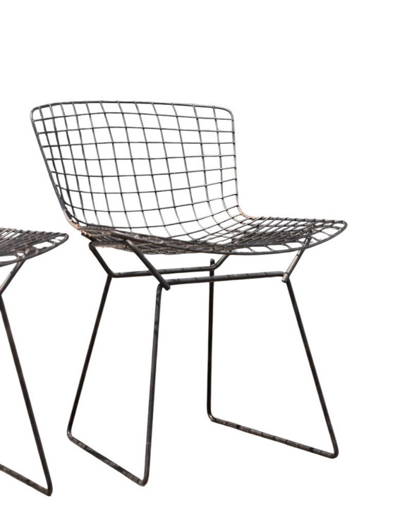 Image 1 of Paire de chaises Harry Bertoia en fil de fer haut de gamme pour Knoll - Acier et coussins d'origine - 1950