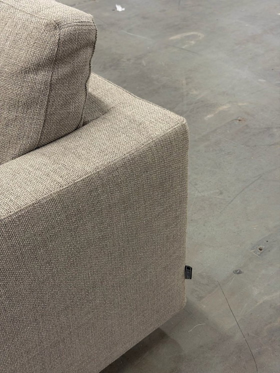 Image 1 of Linteloo Mauro | Tortora