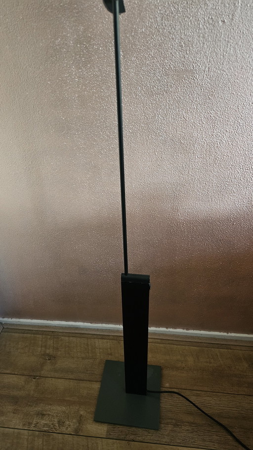 Paf milano logo lamp