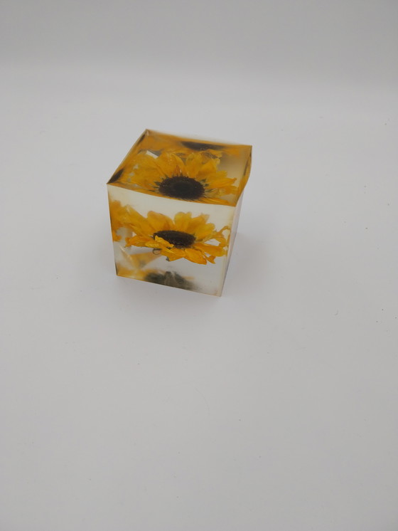 Image 1 of Deux compositions florales dans des blocs de résine époxy. Rose et tournesol, 10 x 10 x 10 cm.