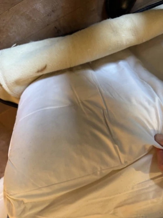 Image 1 of Corbusier Cassina LC3 Fauteuils set (2 stuks) - Serienummers #0075 & #0112