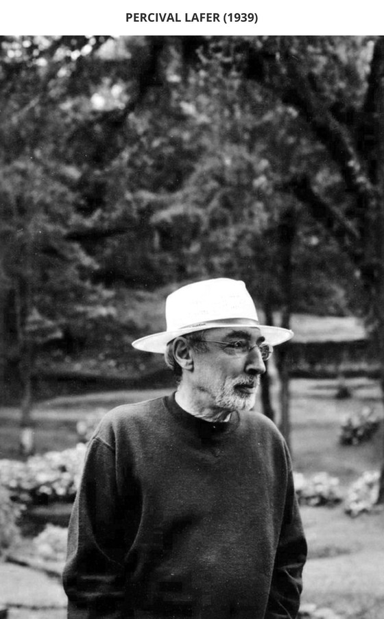 Image 1 of Brasilianischer moderner Liegesessel "Pony" von Percival Lafer, 1980er Jahre