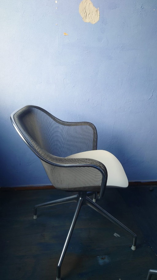 4 sedie girevoli B&B Italia Iuta