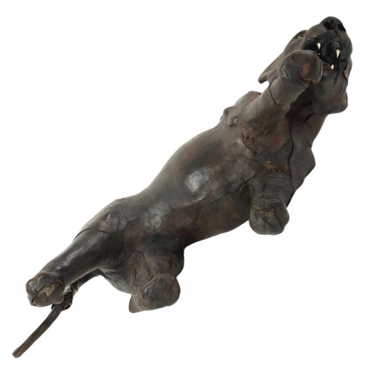 Image 1 of Pantera di pelle