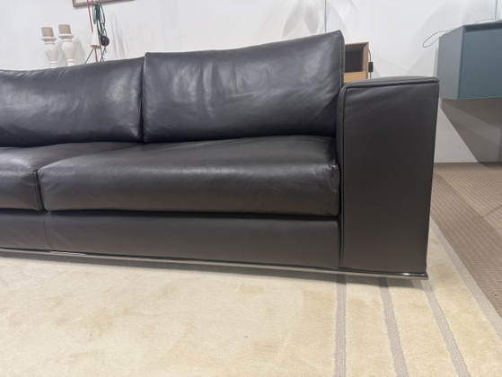 Minotti Hamilton – Sofas, Leather, Metal (photo 3 of 10)