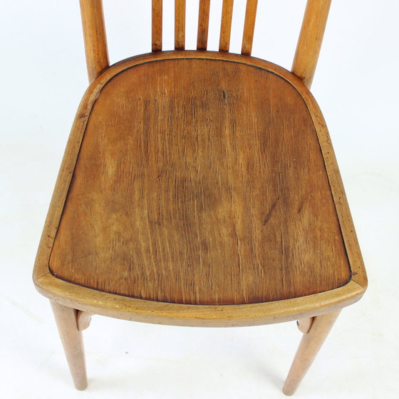 Image 1 of Vintage Thonet Bentwood Eiken Stoel Met Origineel Etiket, Tsjecho-Slowakije, jaren 1920