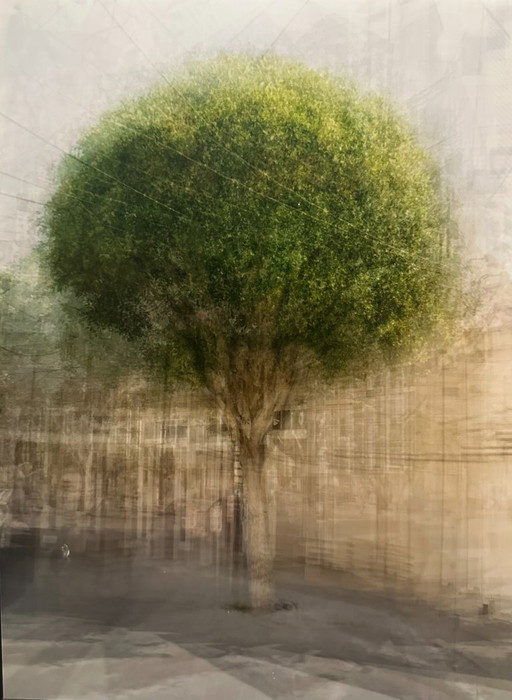 Lumas - Castro Seven by Pep Ventosa 2010. 