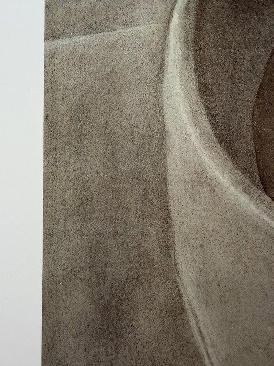 Image 1 of Domenico Gnoli (1933-1970), Girocollo 15 1/2, 1966, copyright Marzia Gnoli, 1994... Printed in the Netherlands, Large format