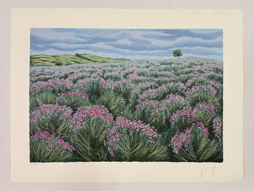 Quadro Serigrafia Franco Azzinari, distesa in campagna 60x80cm, arte moderna