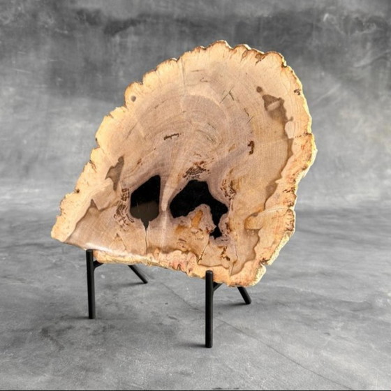 Image 1 of Magnifique pièce de bois pétrifié sur un support sur mesure BS-9