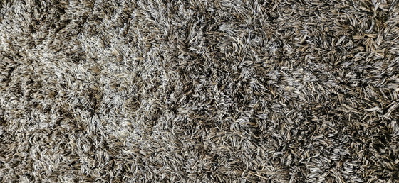 Image 1 of Beautiful Carpet Brand Lifestyle