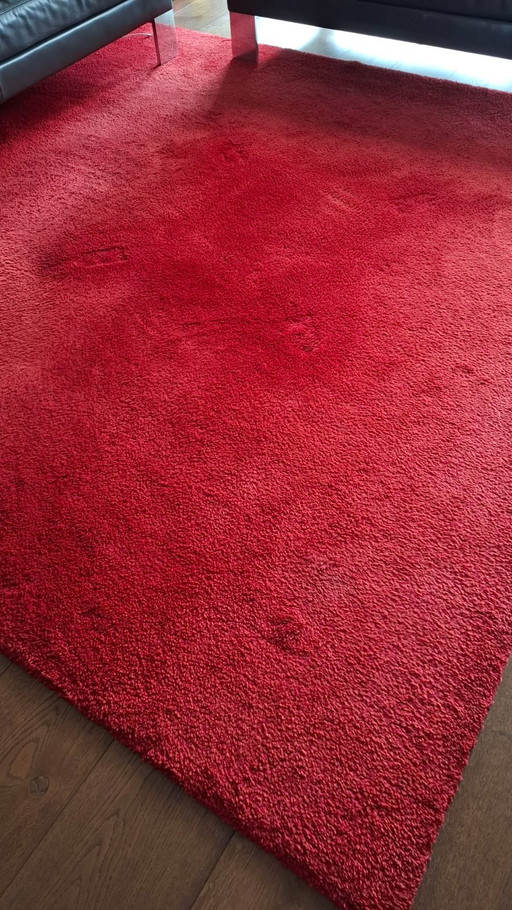 Kinast rug 250 x 250 red