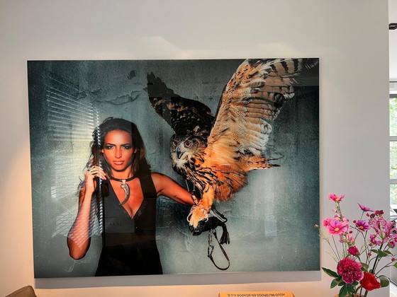 Image 1 of Cobra Art & Oscar Munar - Les prouesses de la chouette