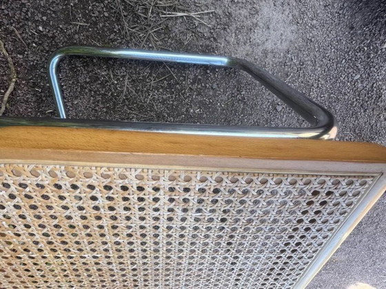 Image 1 of sedia in canna