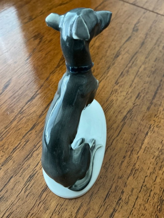 Image 1 of Pequeño whippet Hutsenreuter 1930