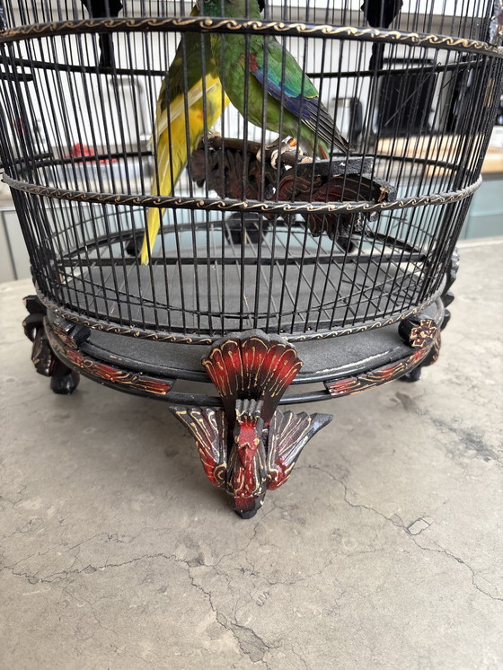 Image 1 of Handgeschilderde Indonesische Vogelkooi met opgezette vogels