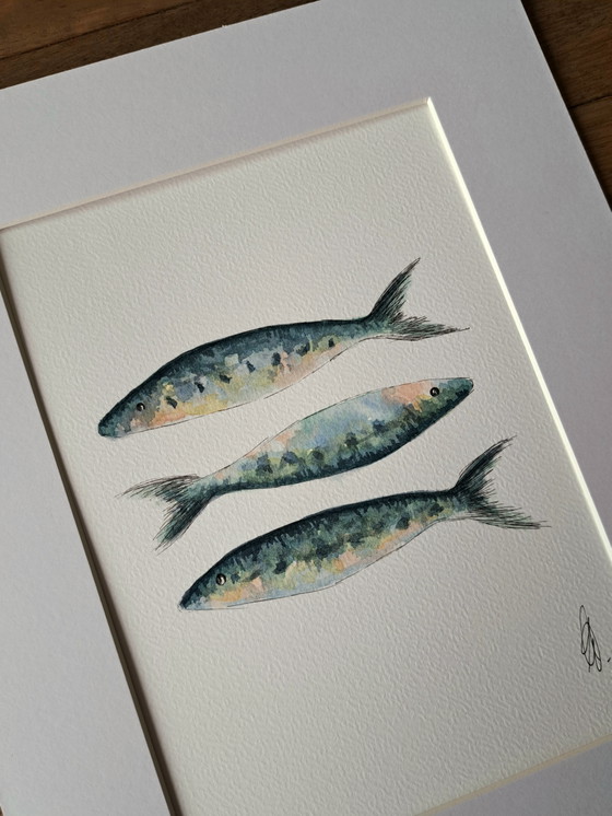 Image 1 of Set of three original nautical watercolors: crab, sardines, seahorse