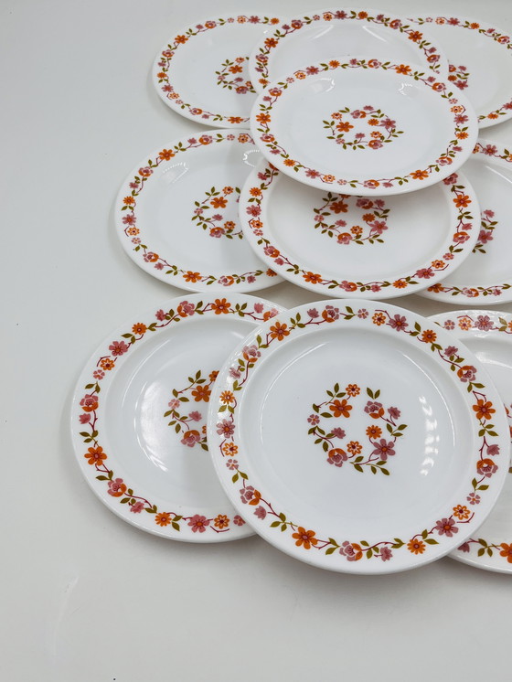 Image 1 of Juego de 10 platos de postre Scania