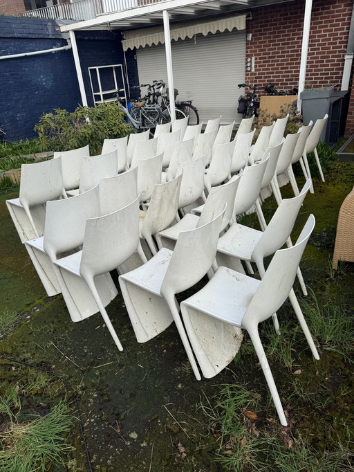 Chaises design Pedrali smart 600