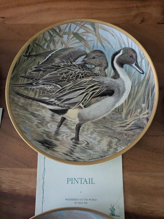 Image 1 of Basil Ede Oiseaux d'eau du monde, ensemble de 12 pièces avec système de suspension