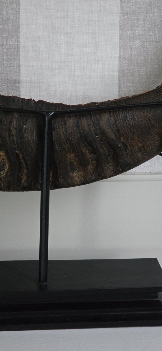 Image 1 of Grote, fijn bewerkte buffelhoorn (ref. 4119)