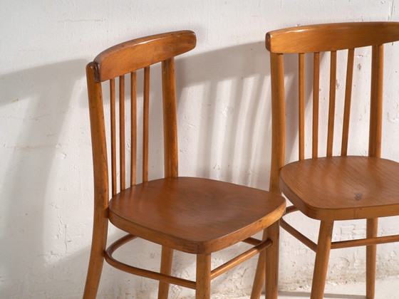 Antique chairs in TON bentwood – Czechoslovakia, circa 1960 #9 – Dining chairs (photo 19 of 40)