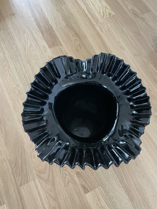 Leonardo Fächer Vase Schwarz