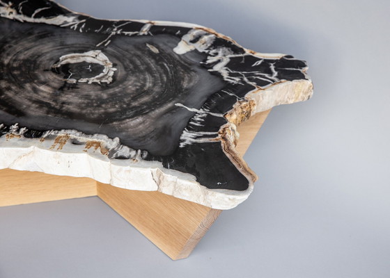 Image 1 of Petrified wood coffee table