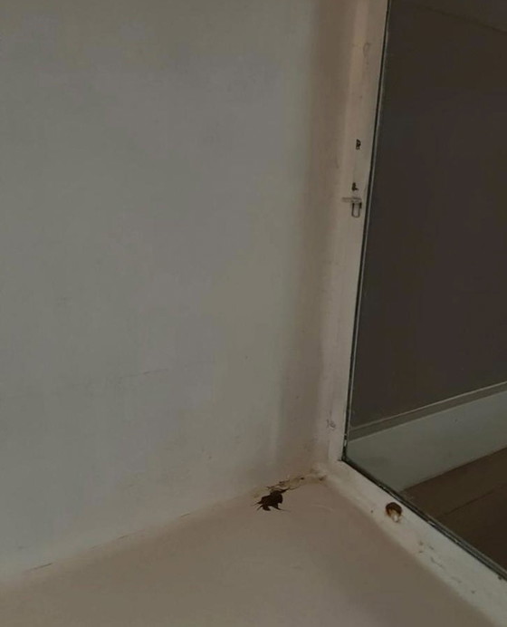 Image 1 of Vintage Apothekers kast 