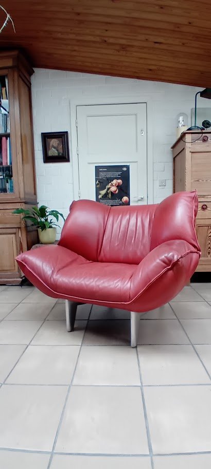Image 1 of Leolux Loveseat Tango