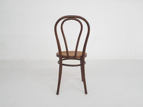 Image 1 of Chaise de salle à manger Thonet modèle n° 14, Tchécoslovaquie, années 1920