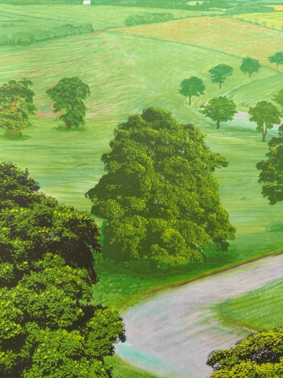 David Hockney, Green Valley, 2008, Copyright David Hockney, Gedruckt in Großbritannien, Kunstdrucke, Papier (Foto 7 von 9)
