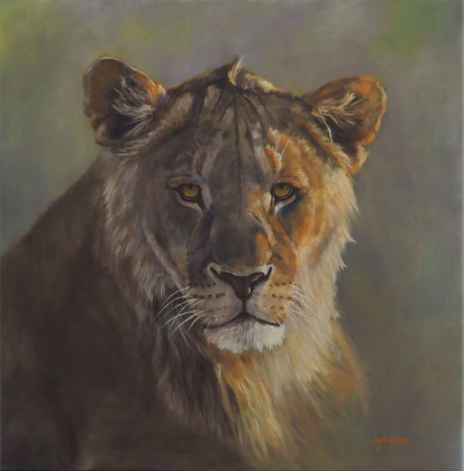 Jeune Lion Huile sur toile de Sylvie AJACQUES