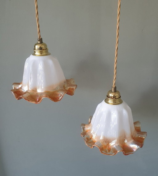 Set of Vintage Glass Pendant Lights. Floral / Flower-shaped Glass – hanglampen, Metal