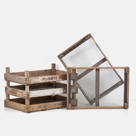 Wooden box for tulip bulbs (c.1980) – Garden accessories, Metal, Rustic (photo 4 of 9)
