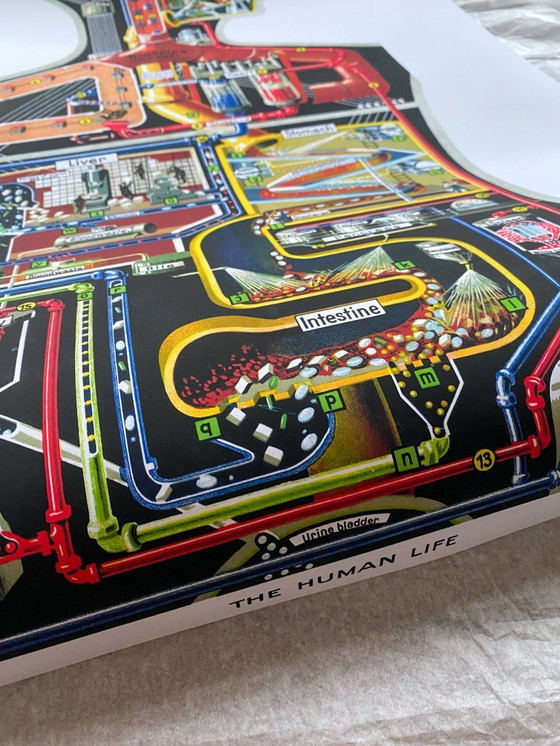 Image 1 of The human factory - Sketch of the body's functions - 1931 - Poster 61 x 91 cm