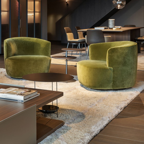 Image 1 of Poltrona Elain Molteni&C