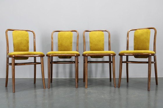 Image 1 of Juego de cuatro sillas de comedor de madera curvada de haya restauradas de la década de 1970, de TON, Checoslovaquia