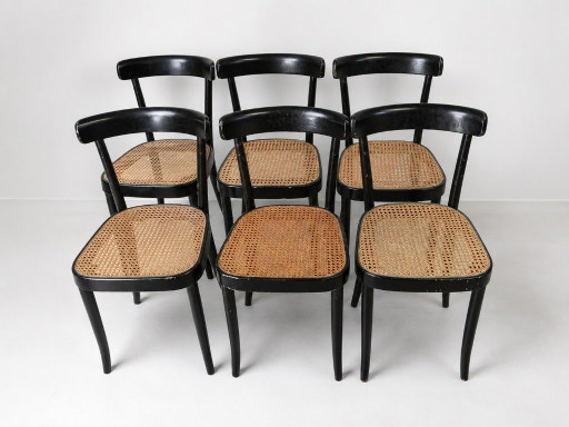 Ensemble de 6 chaises - Horgenglarus - Werner Max Moser