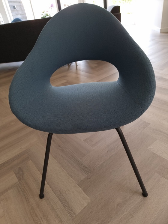 Shark Chair von Artifort – Esszimmerstühle, Metal, Textile (photo 6 of 6)