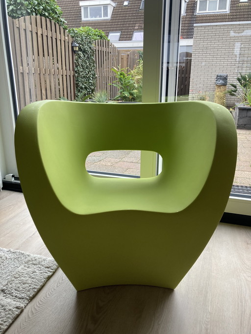 Moroso Little Albert