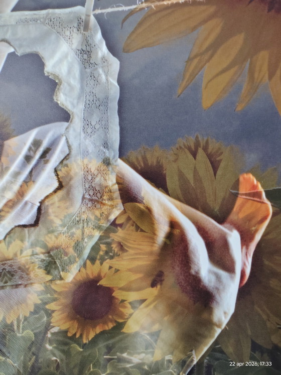 Image 1 of 2 obras fotográficas; título: girasol