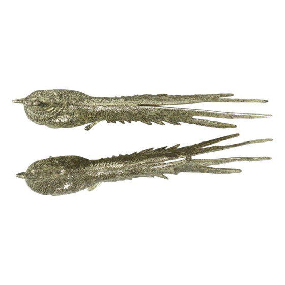 Image 1 of Images de faisans France