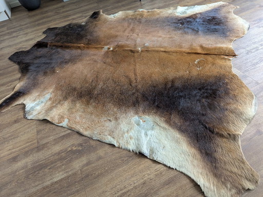 Argentinean vintage cowhide