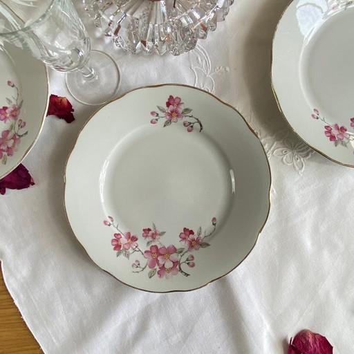 Set of 6 antique Royal Tognana porcelain dessert plates, Italy