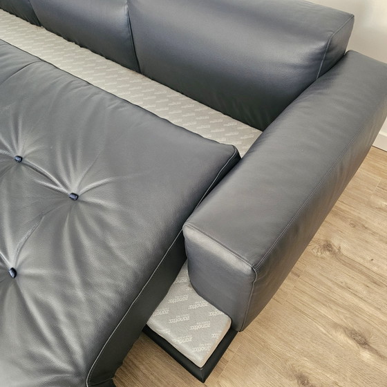 Divano Zanotta Shiki L292 – Divani, Leather, Metal (photo 9 of 13)