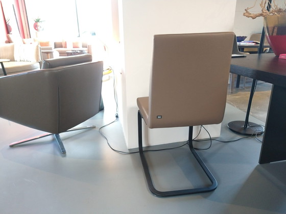 Image 1 of Rolf Benz 620 dining chair (set of 3)