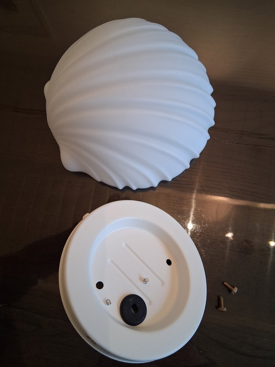 Image 1 of Wandleuchte aus Glashütte Limburg, muschelförmig